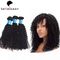 100% natürliches schwarzes verworrenes gelocktes europäisches Jungfrau-Haar von Menschenhaar-Bündeln fournisseur