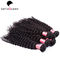 10&quot; - 30&quot; indisches Jungfrau-Haar natürliches schwarzes Remy-Haar-gelocktes Wellen-Spinnen fournisseur